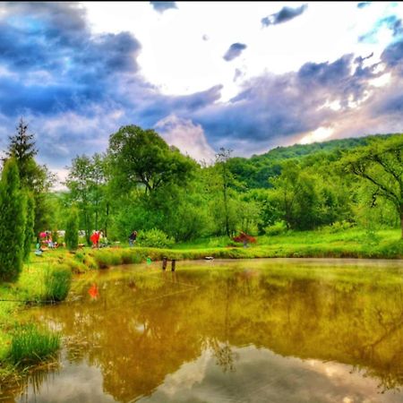 Pensiunea Cerbul - Valea Dobarlaului المظهر الخارجي الصورة